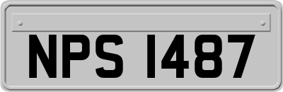NPS1487