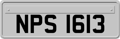 NPS1613