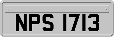NPS1713