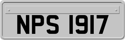 NPS1917