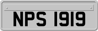 NPS1919