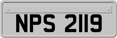 NPS2119