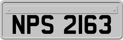 NPS2163