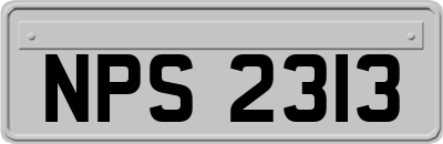 NPS2313