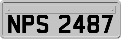 NPS2487