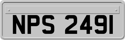 NPS2491