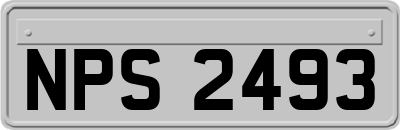 NPS2493