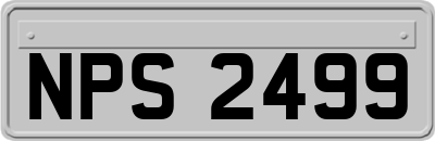 NPS2499
