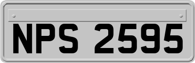 NPS2595