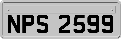 NPS2599