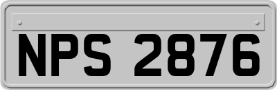 NPS2876