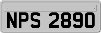 NPS2890