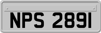 NPS2891