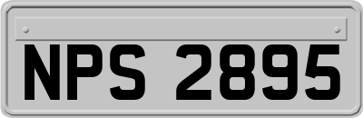 NPS2895