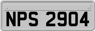 NPS2904
