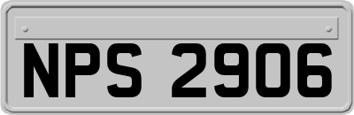 NPS2906
