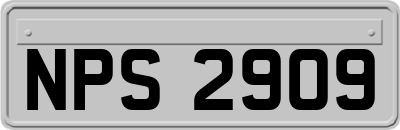 NPS2909