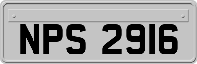 NPS2916