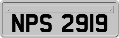 NPS2919
