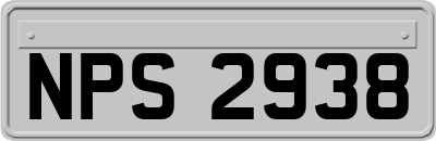 NPS2938