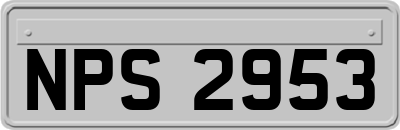 NPS2953