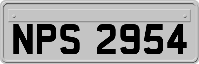 NPS2954