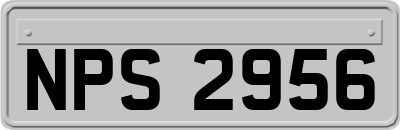 NPS2956