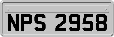 NPS2958