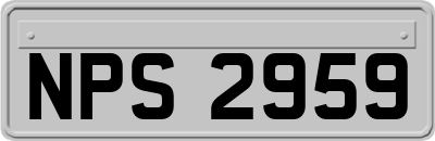 NPS2959