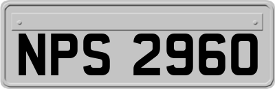 NPS2960