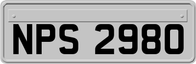 NPS2980