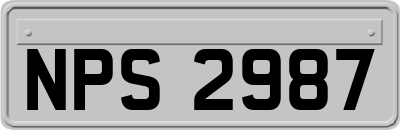 NPS2987