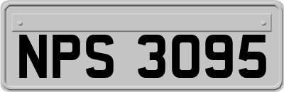 NPS3095
