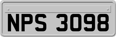 NPS3098
