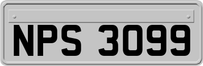 NPS3099