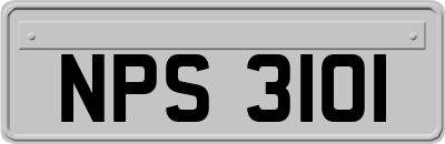 NPS3101