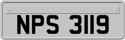 NPS3119