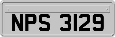 NPS3129