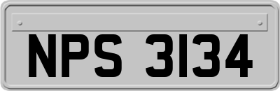 NPS3134