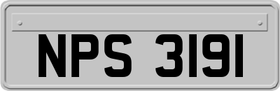 NPS3191