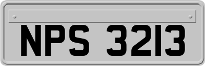 NPS3213
