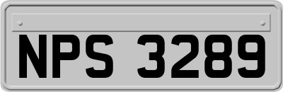 NPS3289