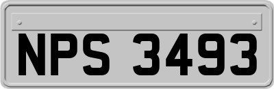 NPS3493