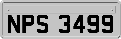 NPS3499