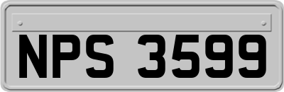 NPS3599