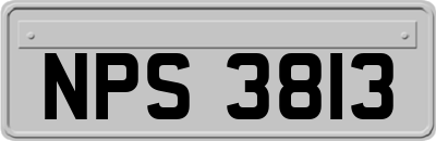NPS3813