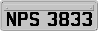 NPS3833