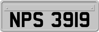 NPS3919