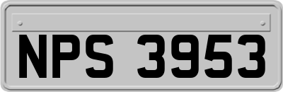 NPS3953