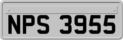 NPS3955